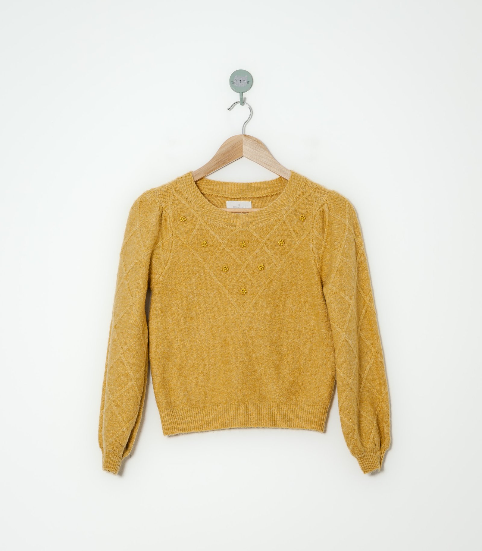 Saco  Springfield  XS